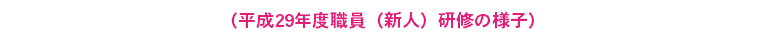（平成29年度職員（新人）研修の様子）